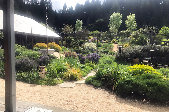 Mendocino County, CA Open Day - CANCELED
